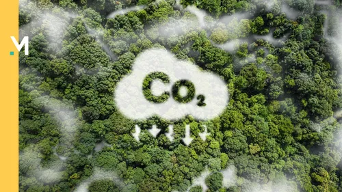 CO2-uitstoot